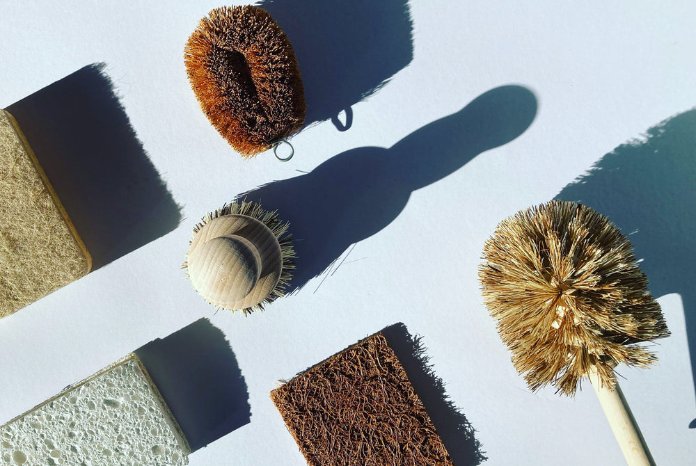 natural bristle toilet brush, scrub brush, wooden brush, compostable brush on white background with long shadows due to sunlight.  Vegan cleaning tools, home compostable cleaning sponge, scrub pad, coconut FSC wood