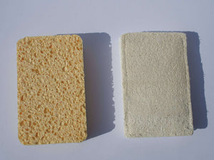 Compostable Sponge/ scrub pads (2- pack) by Ecovibe - Mix Clean Green