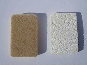 Compostable Sponge/ scrub pads (2- pack) by Ecovibe - Mix Clean Green